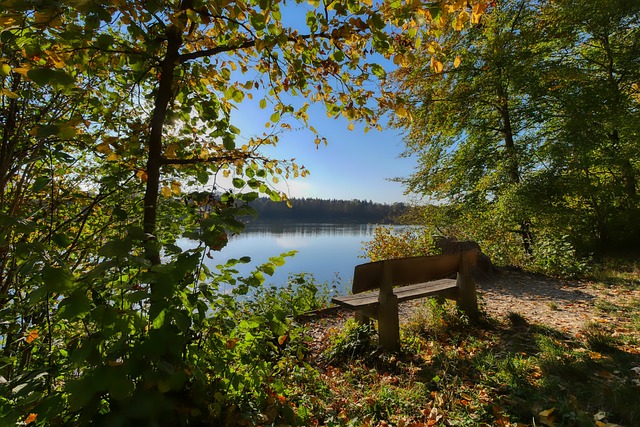 都会在未来 都会在未来