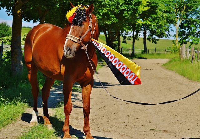 来的多元化 来的多元化