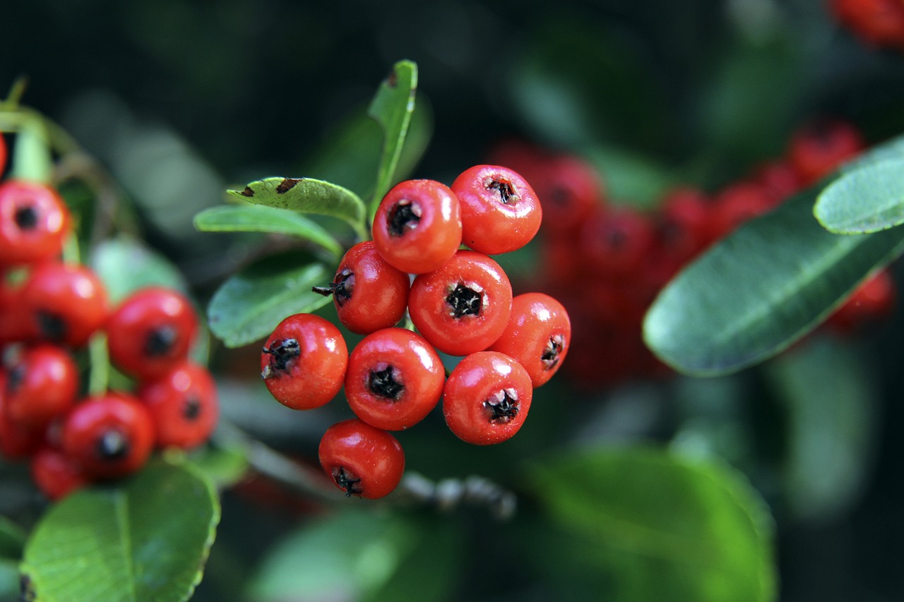 華盛頓27分17籃板 東契奇缺陣 亞歷山大35分8助攻 獨行俠終結雷霆三連勝.