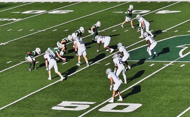 竞技的狂欢 竞技的狂欢